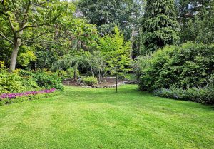 Optimiser l'expérience du jardin à Savigny-en-Veron